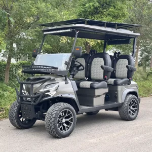 Lithium Battery Electric Golf Carts for Kids and Adults with CE Certification