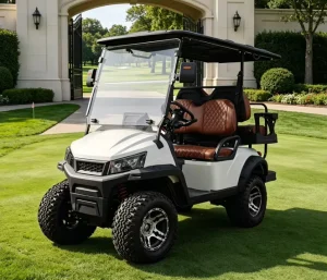 Lithium Battery Golf Cart with Long Range