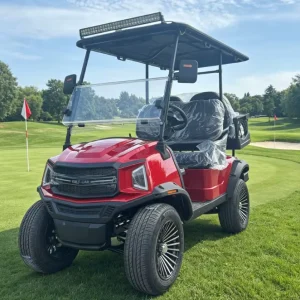 Lithium Electric 4 Seats Golf Cart 48 Volt with Color and Logo Design for Resort or Course Use