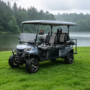 Lithium Golf Buggy 4 6 8 Person Passenger Seater Electric Club Car Golf Cart Chinese Electric Golf Carts From China
