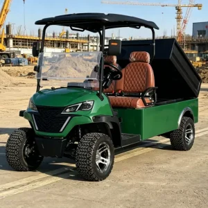 Lithium Golf Cart with Rear Cargo Box Customizable for Resorts Communities and Sightseeing Use