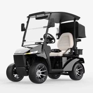 Long Endurance Golf Cart Waterproof Single Seat Golf Cart with Rear Storage Fashionable Golf Cart Resort Patrol Car