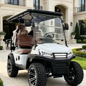 Long Range 4 Seat Electric Golf Cart
