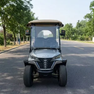 Long Range Lithium Battery 2 Person Electric Golf Cart Lifted Off Road 5000W Golf Buggy for Outdoor Travel