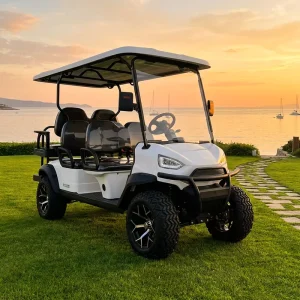 Long Range Sturdy Low Maintenance 72V CE Certified Electric Vehicles Golf Carts Sightseeing Cars Off Road Vehicles 90km Driving