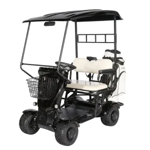 Low Speed Club Electric Golf Cart 2 Seats Lithium Baterry Mini Electric Golf Cart