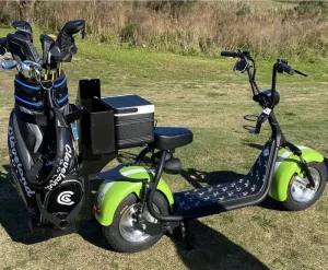 Loyal Australia Market 2000W 60V Intelligent Foldable Waterproof Electric City Scooter with 60-100km Range