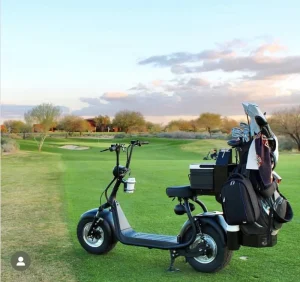 Loyal Australia Market Aluminium Two-Wheel Off-road Golf Cart 2000-3000W Motor 50km/h Speed GPS Foldable Waterproof