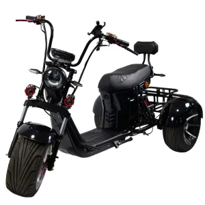 Loyal Best Quality Low Price Three-Wheel Electric Scooter GPS Foldable Waterproof Lithium Battery 2000W 50km/h 60-100km Range