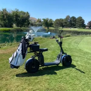 Loyal Ready Shipment Intelligent GPS Foldable 3000W 2000W Fat Tire Golf Adult Electric Scooter Citycoco Trolley