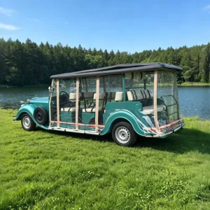 Luxurious Golf Cart From China for Sale