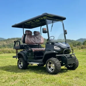 Luxury 4 Seater Electric Golf Cart Maintenance Free Colloidal Battery 60V 90km Range 35KM/H Max Speed GCC Certified