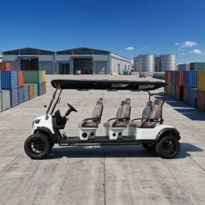 Luxury 4+2 Seater Electric Golf Cart Street Legal LSV 60V Long Range Lithium Hunting Buggy Hydraulic Disc Brake DOT EEC Custom