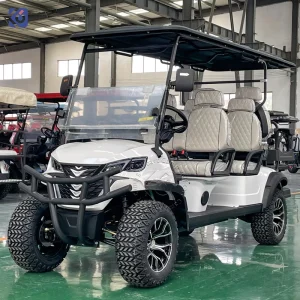 Luxury 6 Passenger Buggy Street Legal 72V Battery Golf Carts