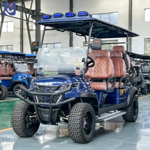 Luxury 6 Seater Electric Club Car Street Legal 72V Lithium Battery Solar Panel Golf Cart for VIP Reception Direct Factory