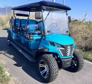 Luxury 6 Seater Low Speed Vehicle 4 Wheel Drive Push Electric Street Legal Golf Cart for Sale