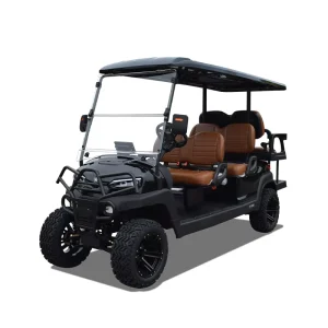 Luxury 6 seater Off road Electric Golf Cart for Campsite Sightseeing Club Car 48V Lithium Battery Golf Cart