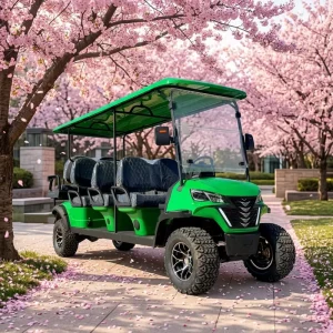 Luxury 8 seater Off road Electric Golf Cart 100A Maintenance Free Battery 4KW AC Motor 30 50Km h Speed 90km Range for Campsite