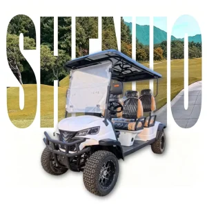 Luxury Auto Golf Cart D5 Golf Cart Street Legal Electric Vehicle for Community Transport
