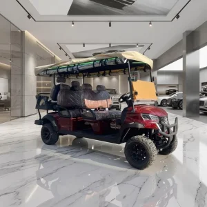 Luxury Design Off road Electric Powered 4 Wheel 6 Seater Golf Cart