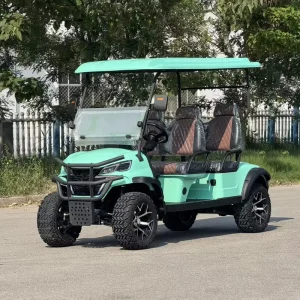 Luxury Design Street Legal Electric 4 Seater Golf Cart with 48v 72v Battery Accept Customization
