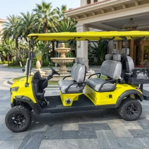 Luxury Design Street Legal Lead Acid Battery 60V100A Electric Powered Golf Cart