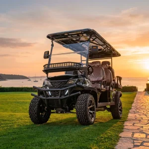 Luxury Electric 6 Seater Off-Road Golf Cart 60V Lithium Powered Lifted Street Legal Hunting Resort Neighborhood Use Metal