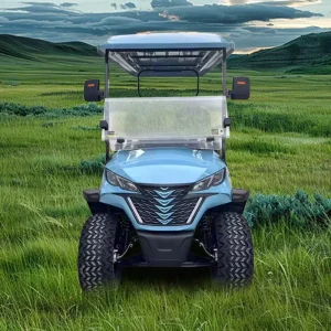 Luxury Electric Golf Cart 4 Seater with 5kW Motor 72V Lithium Battery for Clubs and Golf Courses