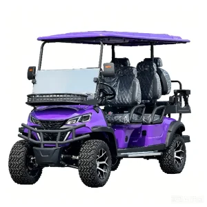 Luxury Electric Golf Cart with Off road 14inch Tires 5 6 Seats Large Multimedia Screen Reverse Camera 70 90km Range