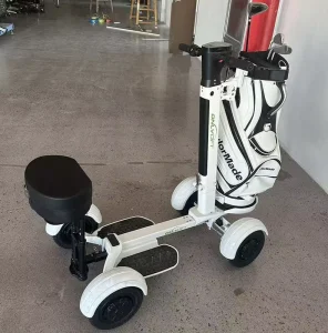 Luxury Electric Golf Trolley Golf Buggy Car 2 Seat Mini 48v Lithium Battery Electric Golf Cart Scooter