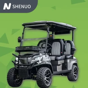 Luxury Golf Cart Club Car Club Cleaner Street Legal Lithium Electric Golf Cart Street-Legal Golf Car for Hunting and Farm