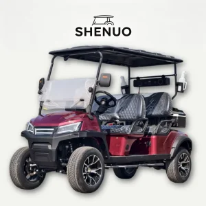 Luxury Golf Cart Gas Limo Golf Cart Street Legal Golf Car for Hunting and Farm