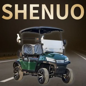 Luxury Golf Cart Modern Golf Cart Street Legal Golf Buggy for Resort and Hotel