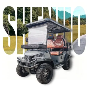 Luxury Golf Cart Organizers Golf Carts Street Legal Electric Vehicle for Community Transport