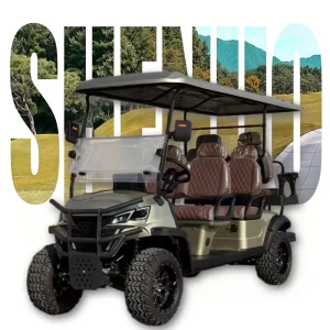 Luxury Golf Carts Mini Golf Cart Shuttle Street Legal Golf Cart for Golf Course