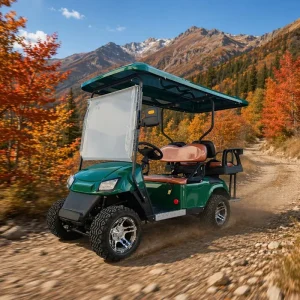 Luxury Lifted Off Road Electric Golf Cart 4 Seat 60V Long Range Four-wheel Drive 35KM/H 20-25 Grade for Rough Roads