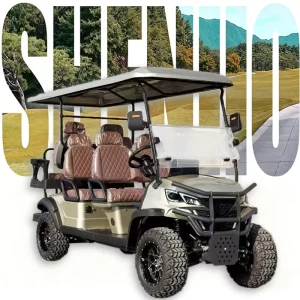 Luxury Magnetic Phone Holder Golf Cart Golf Carts With Air Conditioning Street Legal Golf Cart for Golf Course