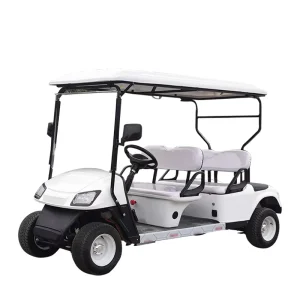 Luxury Off road 2 seater Electric Golf Cart with Storage Box