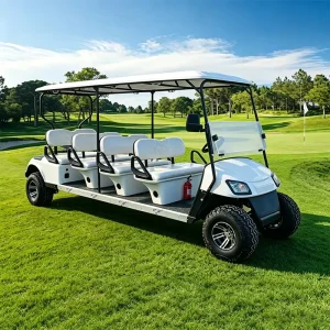 Luxury Street Legal 4 Seater Lithium Battery Electric Golf Cart 48V 72V LSV