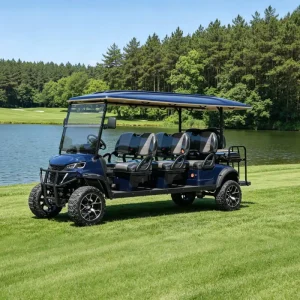 Luxury Street Legal Lithium Battery Electric 8 Seater Golf Cart