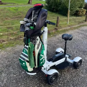 M12 3 Long Range Golf Carts Buggy 48V 20Ah Lithium Battery 2400W Electric Golf Trolley with Seat & Umbrella