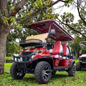 MAYTOP 6 Seater Golf Buggy Gas Powered Gasoline Import Golf Carts From China Street Legal Golf Cart