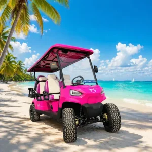 MMC Custom Electric Golf Cart 4-6 Seater Off Road LSV with LED Lighting All Terrain Tires for Resort Hotel Fleet Use