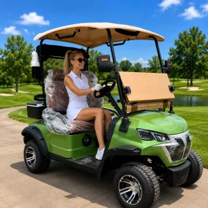 MMC Electric Golf Cart 2 Seater Street Legal 48V/72V Lithium Acid Battery 25MPH CE/DOT Certified for Community