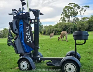 Man Riding Four Wheel Aluminium Golf Electric Trolley with 2000W Brushless Motor 150kg Load Capacity Lithium Battery