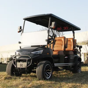 Manufacture Electric Golf Car DC-G-F4+2 Golf Buggy 6 Seater Factory Customized Golf Cart