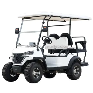 Manufacturer Customizable Golf Cart with CE Lithium Battery Street Legal