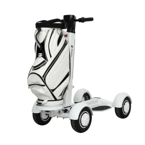 Manufacturer Direct Sale Foldable Four Wheel Rear Wheel Drive Electric Golf Cart