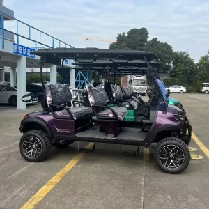 Manufacturer Professional Custom High Performance ET Model 4 Seater Electric Club Car Golf Cart for High End Golf Course
