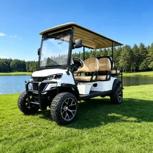 Manufacturers Custom Hunting 2+2 4+2 6 Seater Seat Lifted Lithium Luxury Electric off Road Golf Cart